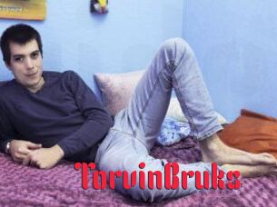 TorvinBruks