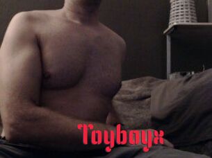 Toyboyx