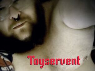 Toyservent Video Extrait