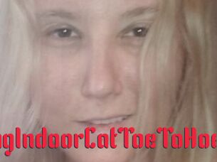TravellingIndoorCatToeToHoe