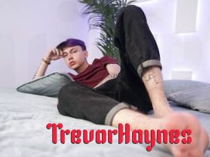 TrevorHaynes Video Extrait