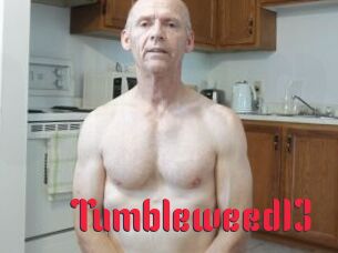 Tumbleweed13 Video Extrait