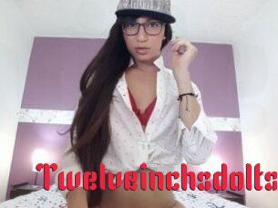 Twelveinchsdolts