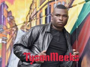 TysonMeeks Video Extrait