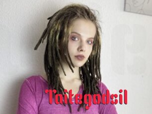 Taitegodsil
