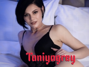 Taniyagrey
