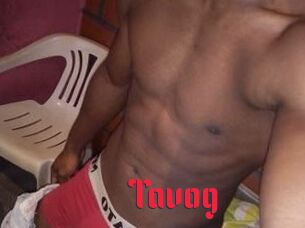Tavog
