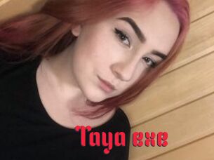 Taya_exe