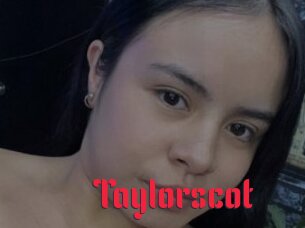 taylorscot Video Extrait