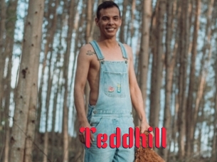 Teddhill