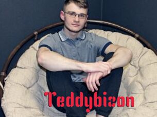 Teddybizon