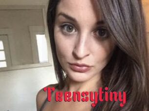 Teensytiny