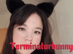 Terminatorbunny