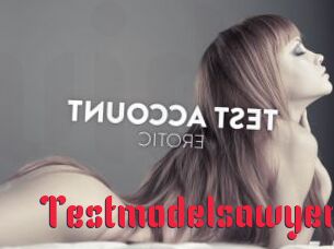 Testmodelsawyer
