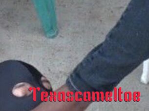 Texascameltoe