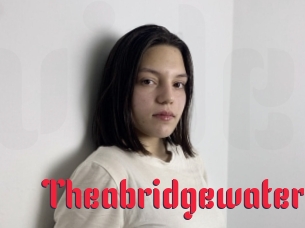 Theabridgewater