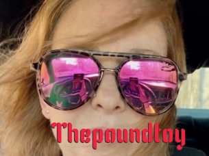 Thepoundtoy