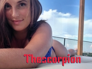 Thescorpion