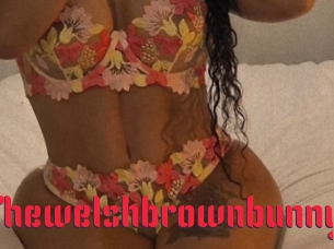 thewelshbrownbunny Video Extrait