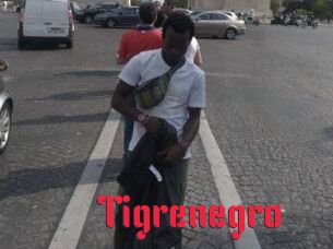 Tigrenegro