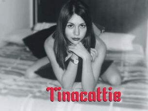 Tinacattie