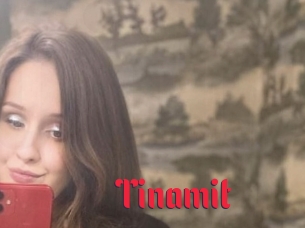Tinamit