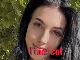 Tinascot