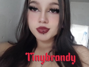 Tinybrandy