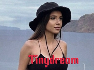 Tinydream
