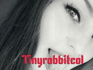 Tinyrabbitcol
