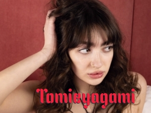 Tomieyagami