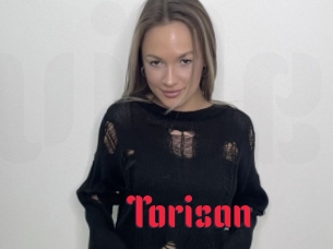 Torisan