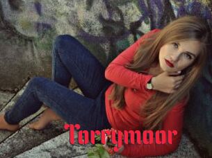 Torrymoor