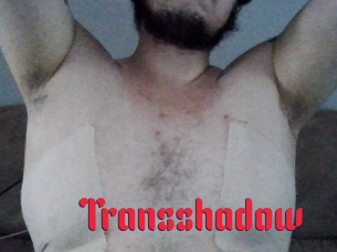 Transshadow
