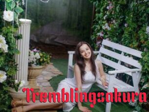 Tremblingsakura