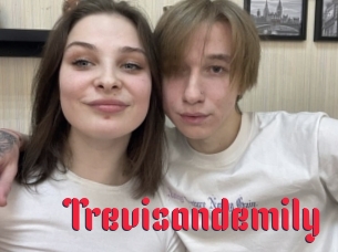 Trevisandemily
