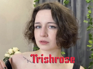Trishrose