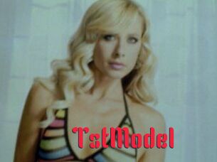 TstModel