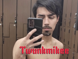 Twunkmikee