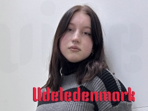 Udeledenmark