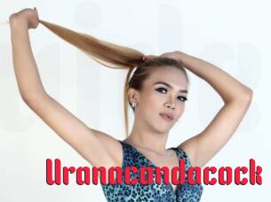 Uranacondacock