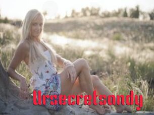 Ursecretsandy
