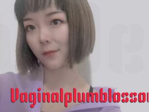 Vaginalplumblossom
