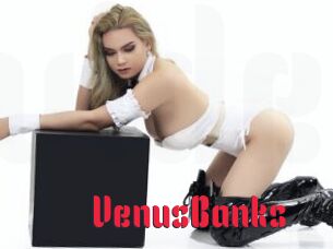 VenusBanks