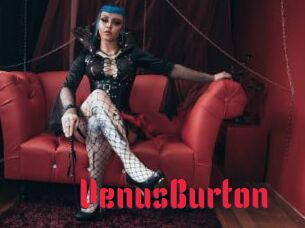 VenusBurton