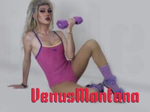 VenusMontana