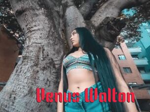 Venus_Walton
