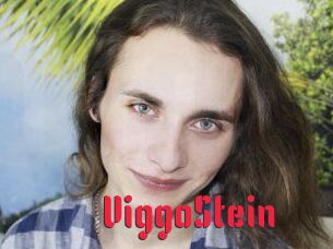 ViggoStein