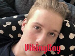 VikingBoy
