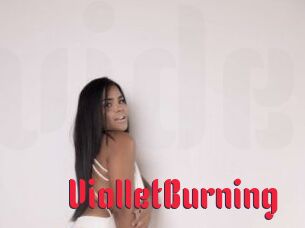 ViolletBurning